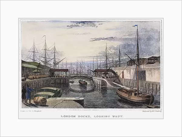 ENGLAND: LONDON, 1831. View of the London docks, looking west. Steel engraving, English, 1831, after Thomas Shepherd