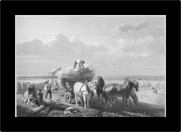 HARVESTING, 19th CENTURY. Steel engraving, 19th century, after the Belgian painter Charles Philogene Tschaggeny