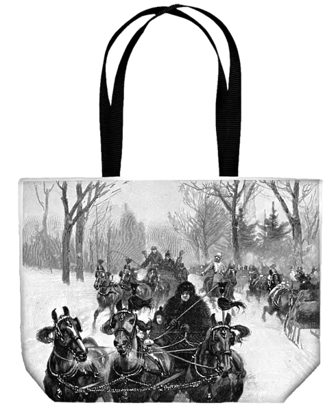 CENTRAL PARK, 1893. Sleighing in Central Park, New York. Wood engraving, American, after Thure de Thulstrup, 1893