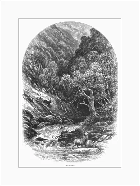 SCOTLAND: GLEN TILT. View of Glen Tilt in the Scottish Highlands. Wood engraving, c1875, by Edward Whymper after William Henry James Boot