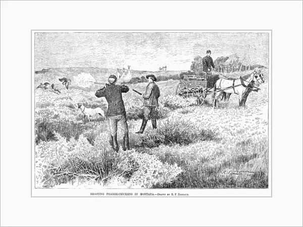 GROUSE HUNTING, 1885. Shooting prairie chickens in Montana. Wood engraving, American, 1885