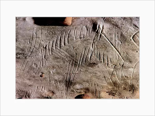 CAVE ART: HORSE. Engraved head of a horse in the Rouffignac cave, Dordogne, France, c11, 000 B. C
