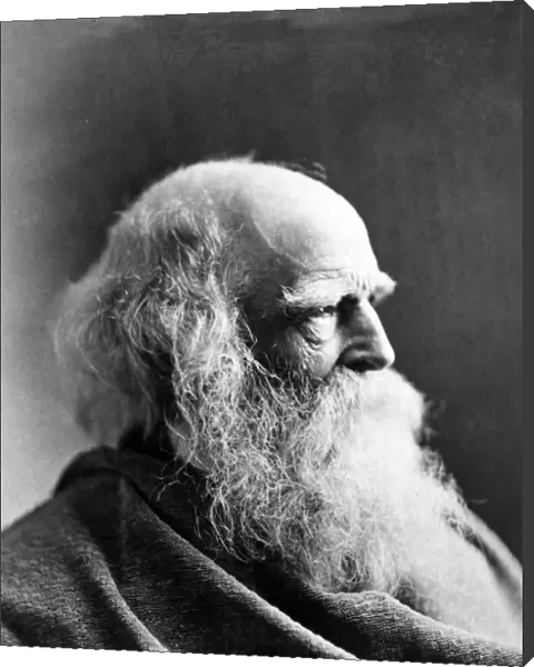 WILLIAM CULLEN BRYANT (1794-1878). American poet and editor. Original cabinet photograph, 1873, by Napoleon Sarony