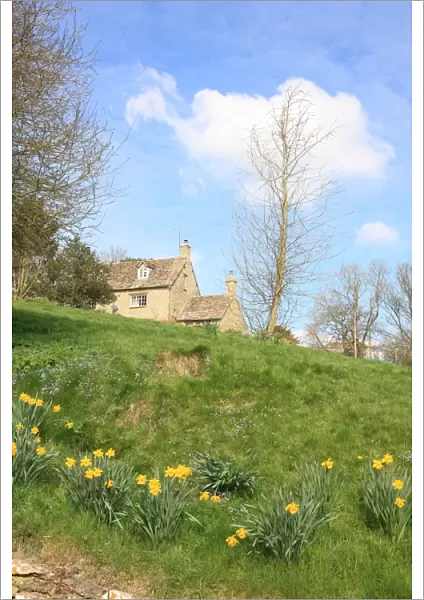 Eastleach. A spring day in the cotswold village of Eastleach famous for its daffodils