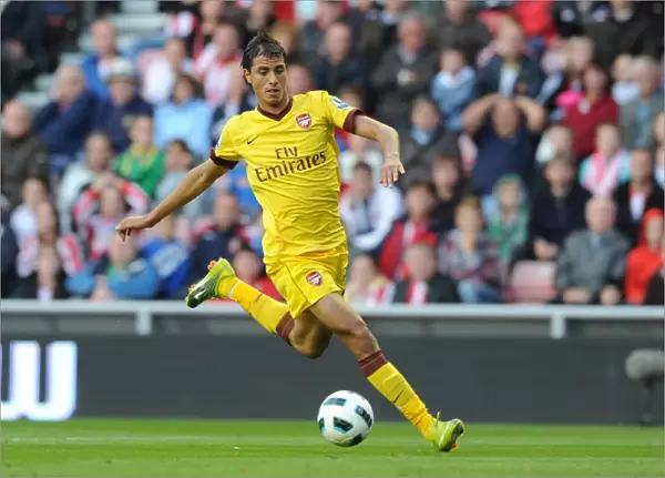 Marouane Chamakh (Arsenal). Sunderland 1: 1 Arsenal, Barclays Premier League