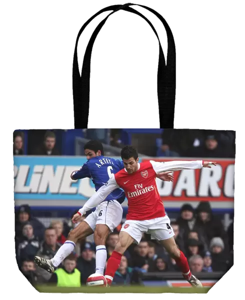 Cesc Fabregas (Arsenal) Mikel Arteta (Everton)