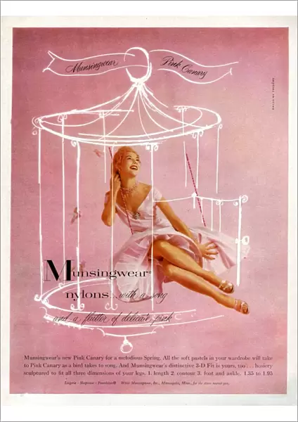 Munsingwear 1950s UK womens hosiery nylons stockings birds cages