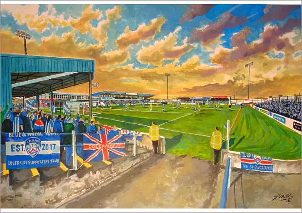 The Showgrounds Stadium Fine Art - Coleraine Football Club