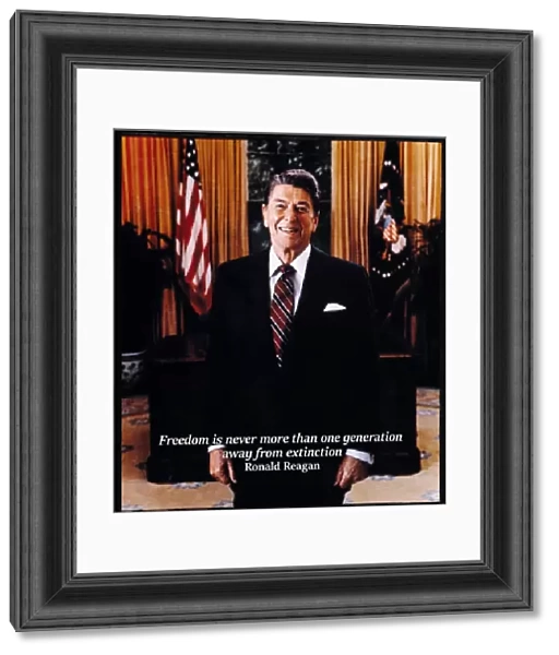 Ronald Reagan President Usa Government