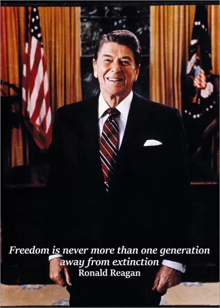 Ronald Reagan President Usa Government