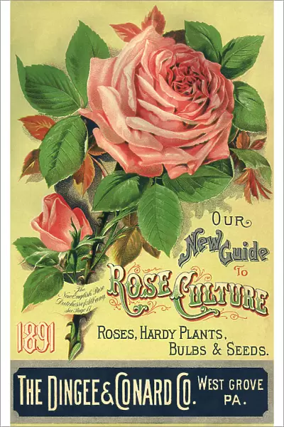 Roses Seed Packet