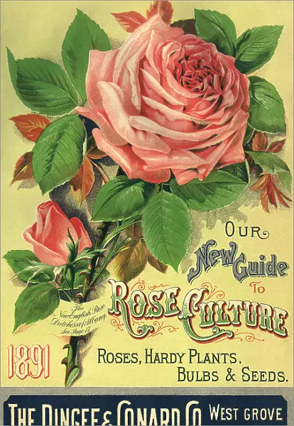 Roses Seed Packet