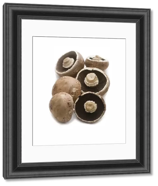 Six chestnut mushrooms