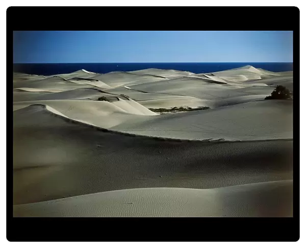 Spain, Canary Islands, Gran Canaria Island, Maspalomas, dunes