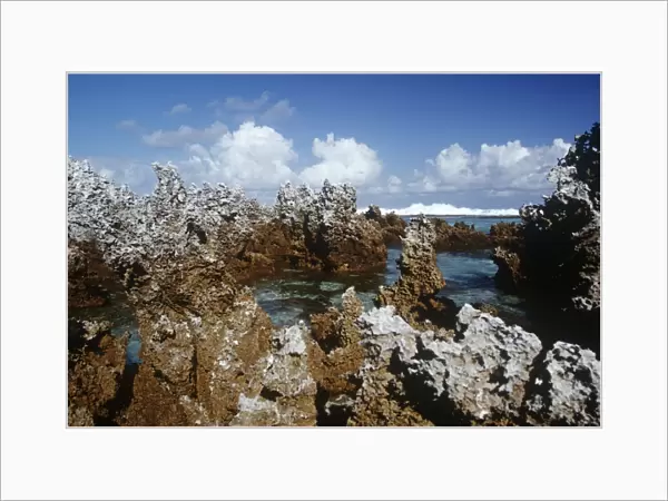 French Polynesia, Tuamotu archipelago, Rangiroa, Fossilized coral formations