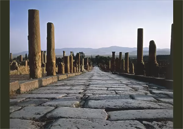 Algeria, timgad, Ruins of Roman colonial town founded by Emperor Trajan around 100 A. D