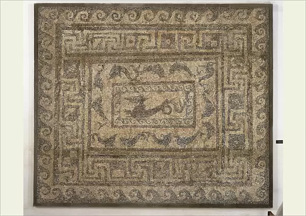 Italy, Apulia, Arpi, Daunian mosaic work depicting sea animals, from a house in Argos Hippium