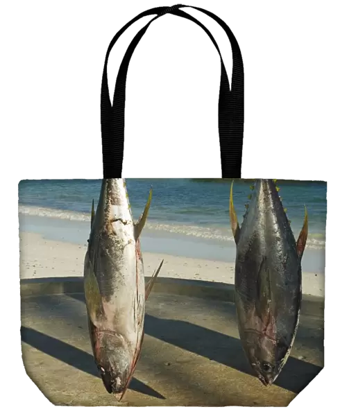 Kenya, Watamu, Hemingways Resort, Yellowfin tuna (Thunnus albacares) hung on hooks to be weighed