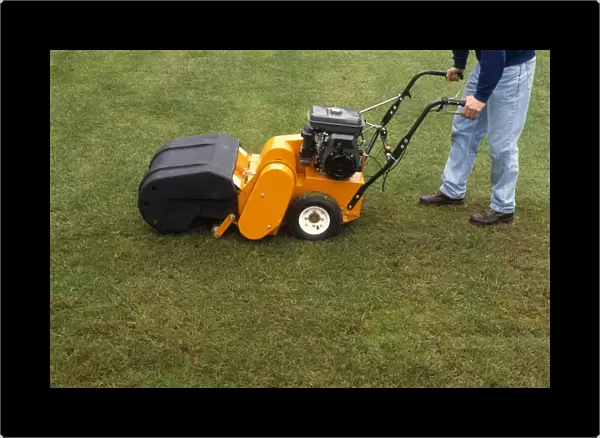 Person using scarifier on a lawn