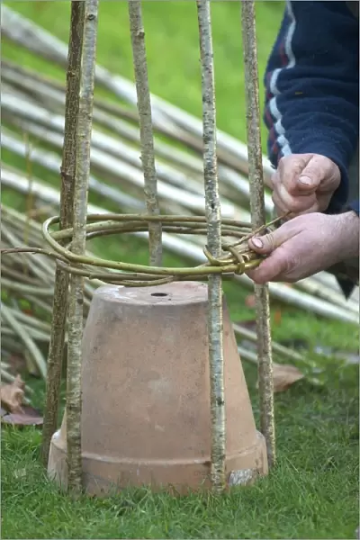 Weaving willow around a hazel rod frame