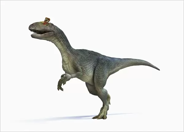 Cryolophosaurus, side view