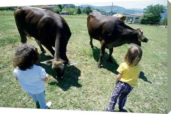 little girls. Cows