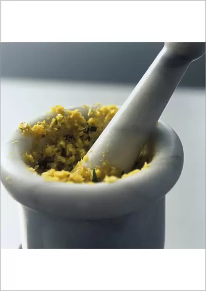 Kroeung, Cambodian curry paste made with lemongrass, kaffir lime, turmeric, ginger and galangal, in mortar with pestle embedded, close-up