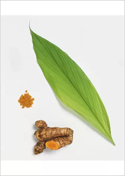 Leaf and fresh rhizome from Turmeric (Curcuma longa) used as medicinal herbal remedy