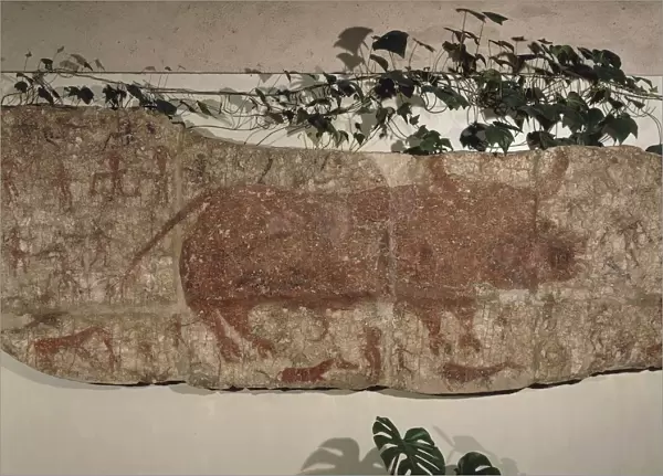 Cave painting depicting bull hunting scene, from Catal Huyuk sanctuary, Turkey