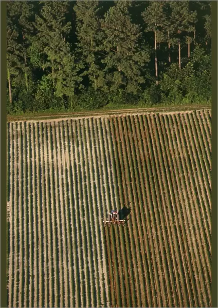 USA, Virginia, Aerial view of agricultural work, weeding fields in Surry