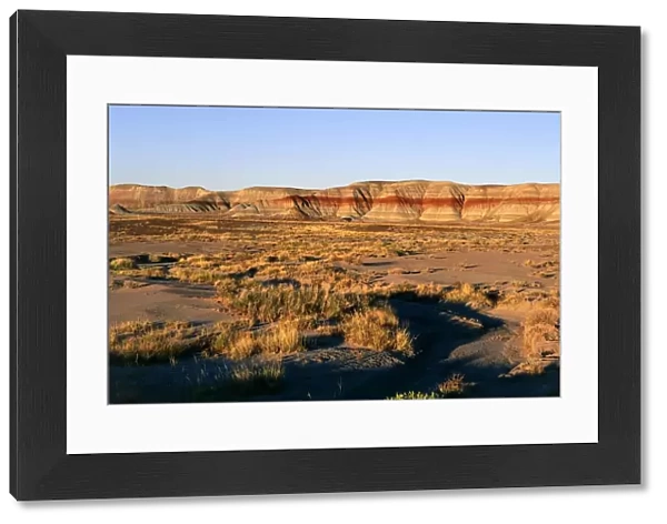 USA, Arizona, Petrified Forest National Park, Blue Mesa in Painted Desert