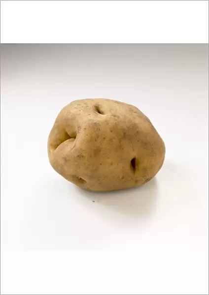 Single potato on white background, close-up