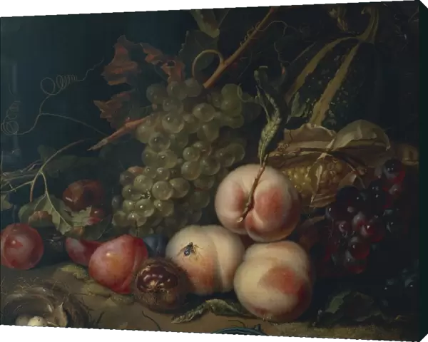 Italy, Florence, Still Life with Fruit and Insects, 1711, oil on canvas, detail