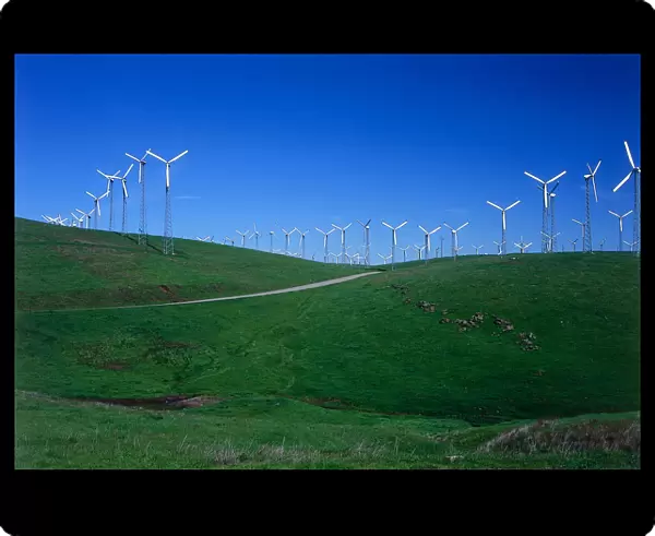 USA, California, Wind farm with Windmills producing natural energy at Livermores Wind Farm