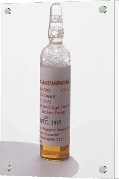 Ampoule of antivenin serum, orange liquid with foam at top