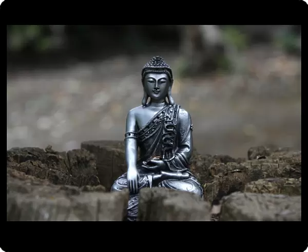 Statue in the garden of Buddhapadipa temple