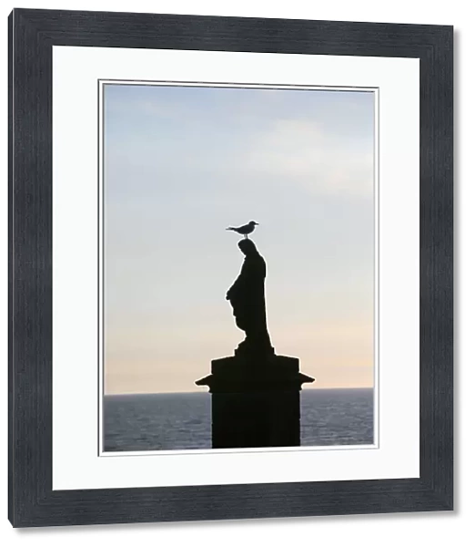 Sea gull on a statue of the Virgin Mary