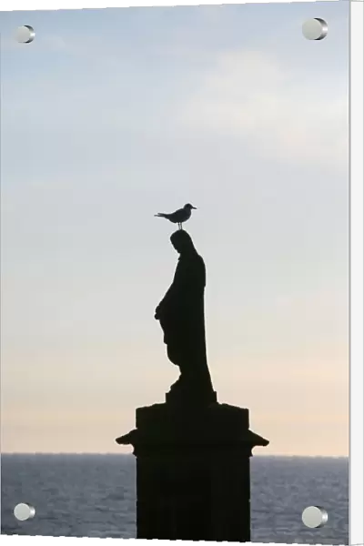Sea gull on a statue of the Virgin Mary