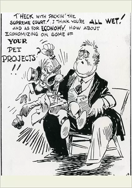 Franklin Delano Roosevelts New Deal