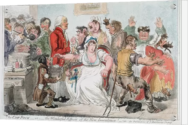 Gillray cartoon on vaccination against Smallpox using Cowpox serum, 1802
