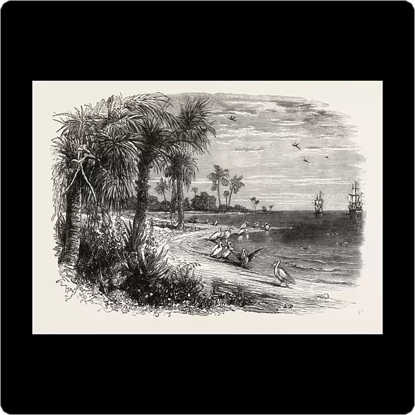 View on the Coast of Florida, United States of America, Us, Usa, 1870S Engraving