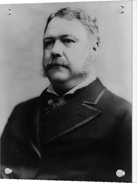 President Chester A. Arthur 1883 A. D