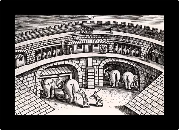 Roman army stables with elephants at ground level, with horses on the upper level