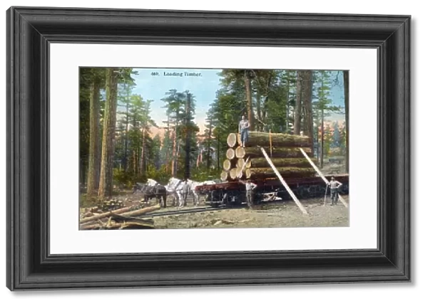 Loading Timber. ca. 1913, Spokane, Washington, USA, 669. Loading Timber