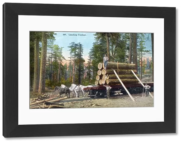 Loading Timber. ca. 1913, Spokane, Washington, USA, 669. Loading Timber