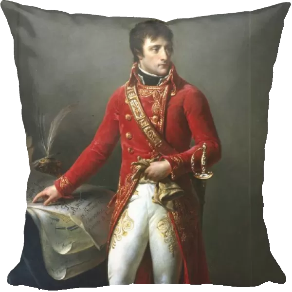 Napoleon Bonparte as First Consul 1803. Napoleon I (1769-1821). (Antoine) Jean Gros