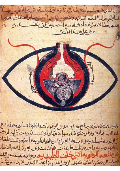 The eye according to Hunain ibn Ishaq also called Johannitius (809-873) Baghdad physican