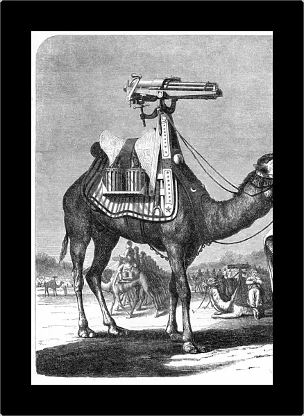 Gatling rapid fire gun (1861-62): Camel-mounted model. From The Science Record New York, 1862