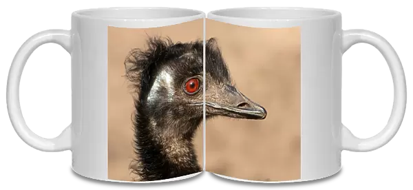 Emu Mug Shot