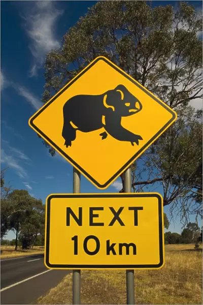 Koala road sign